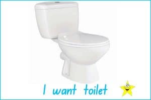 toilet training prompts non verbal children, people disability 